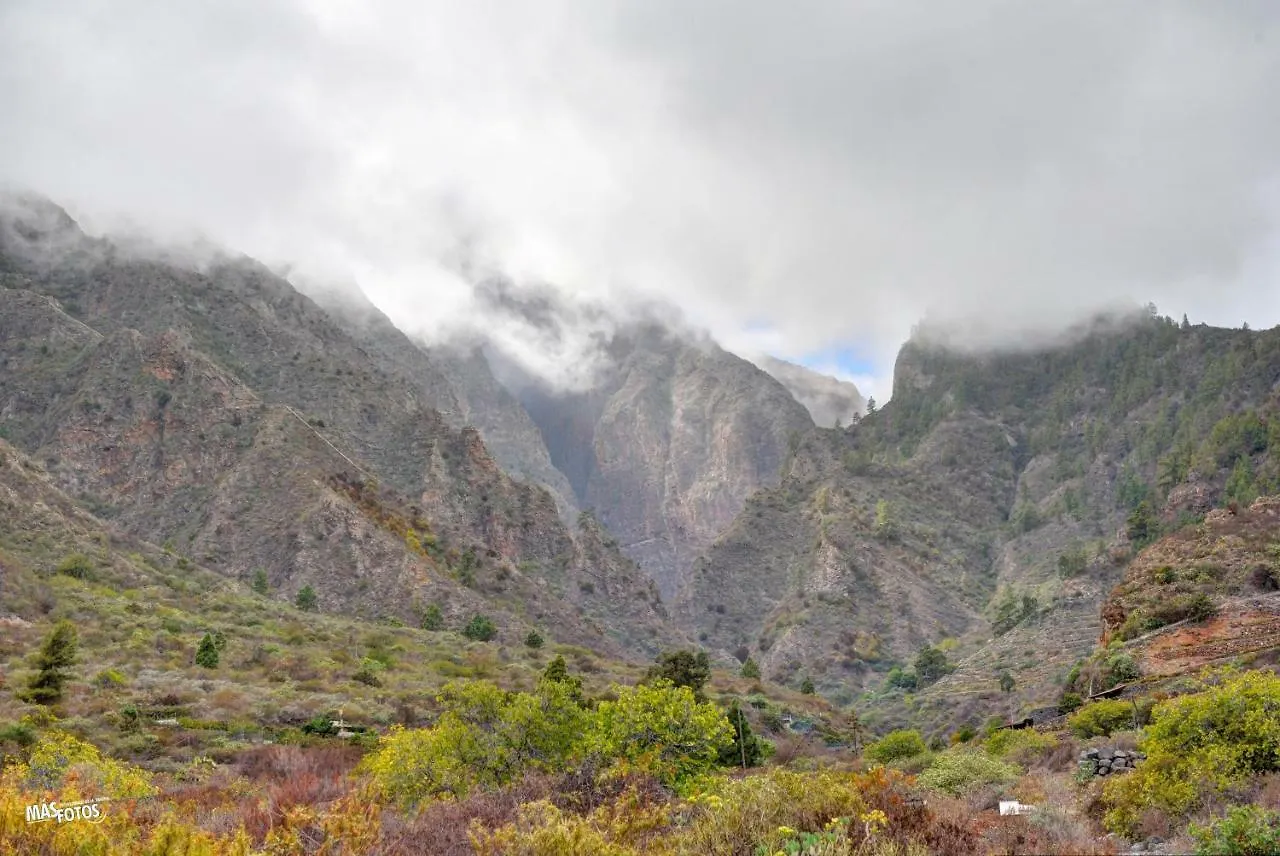 Naturaleza Viva El Socorro España